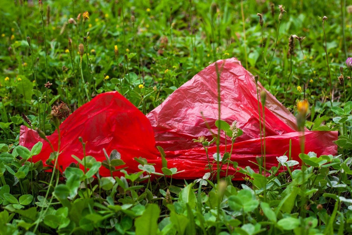 Ukraine Adopts Law Banning the Use of Plastic Bags