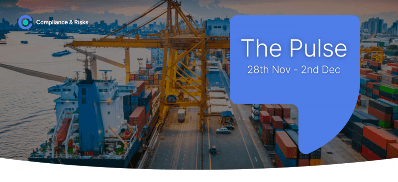 The Weekly Pulse: 28th November -2nd December