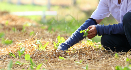 One Step Closer To An EU Sustainability Reporting Regime