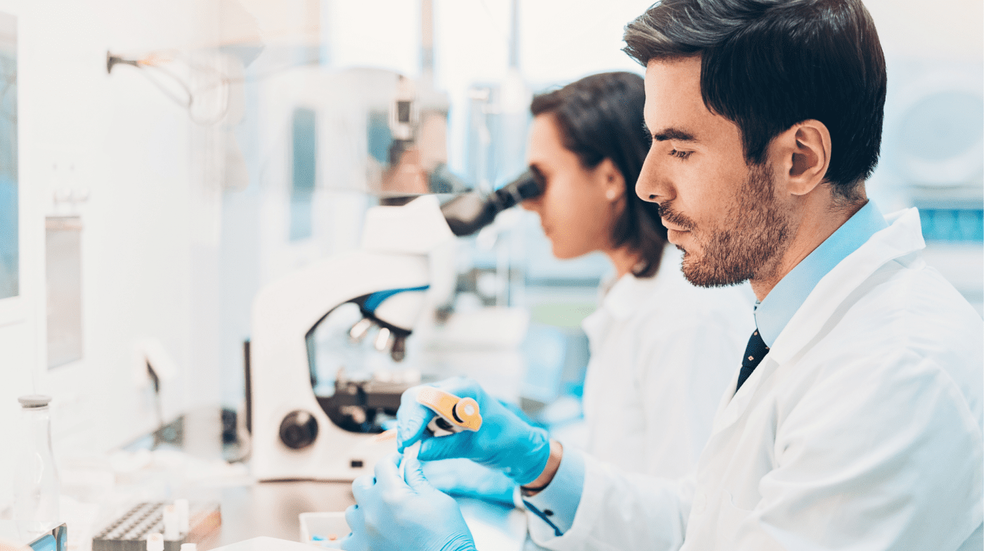 Designation of European Union reference laboratories for certain high-risk in vitro diagnostic medical devices