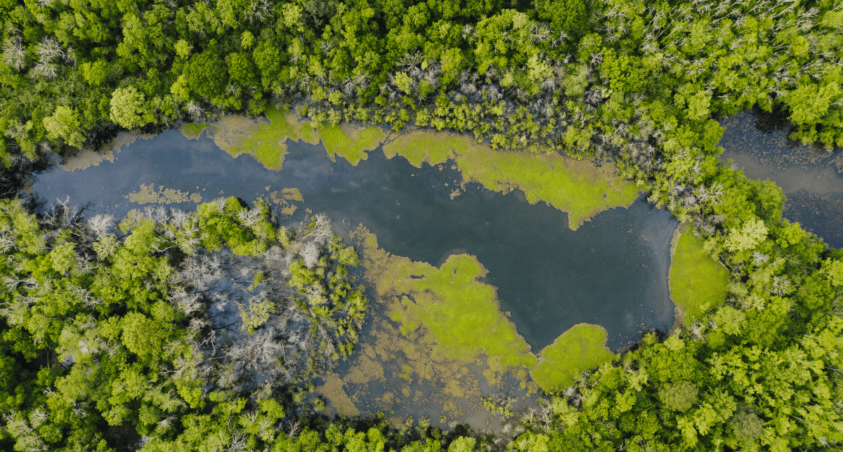 The Australian Government Unveils Draft Legislation on Mandatory Climate-related Disclosures