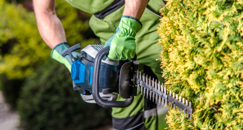 Gardener with power tool cutting hedges - concept for power tools and garden machinery regulations