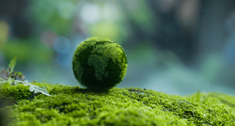Globe on grass - concept for Climate Mitigation Transition Plans