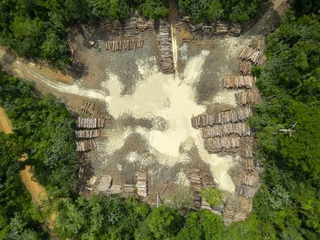 EU Deforestation Regulation