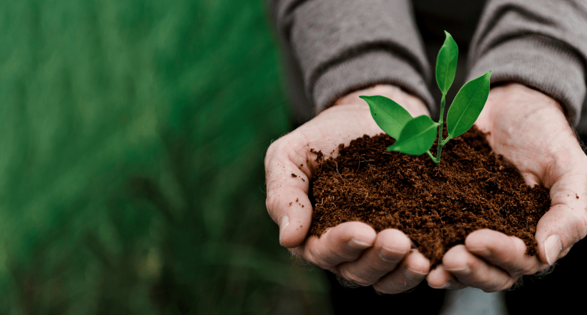China Advances 2030 ESG Roadmap with Public Consultation on Draft Climate Disclosure Standard