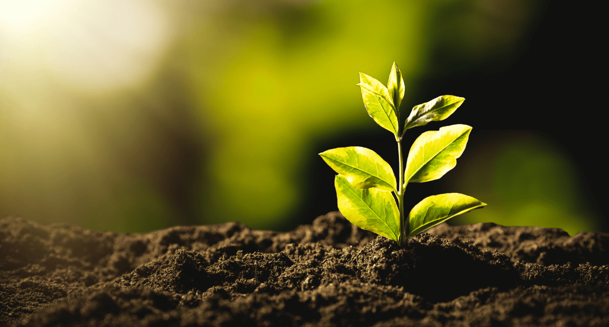 Where Are the EU’s Sustainability Simplification Efforts Headed? A 2025 Recap and Forward Look