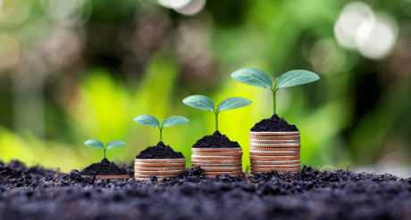 Plants growing on coins - concept for sustainable finance