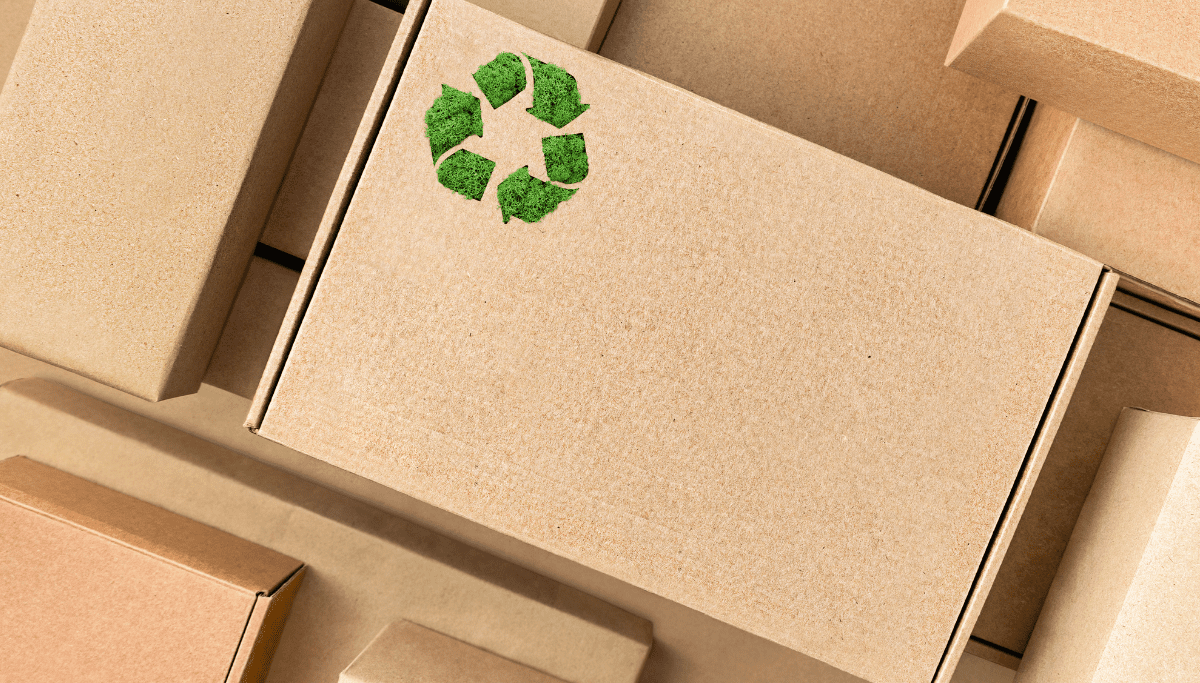 Navigating Global Packaging Regulations: Expert Insights and Analysis