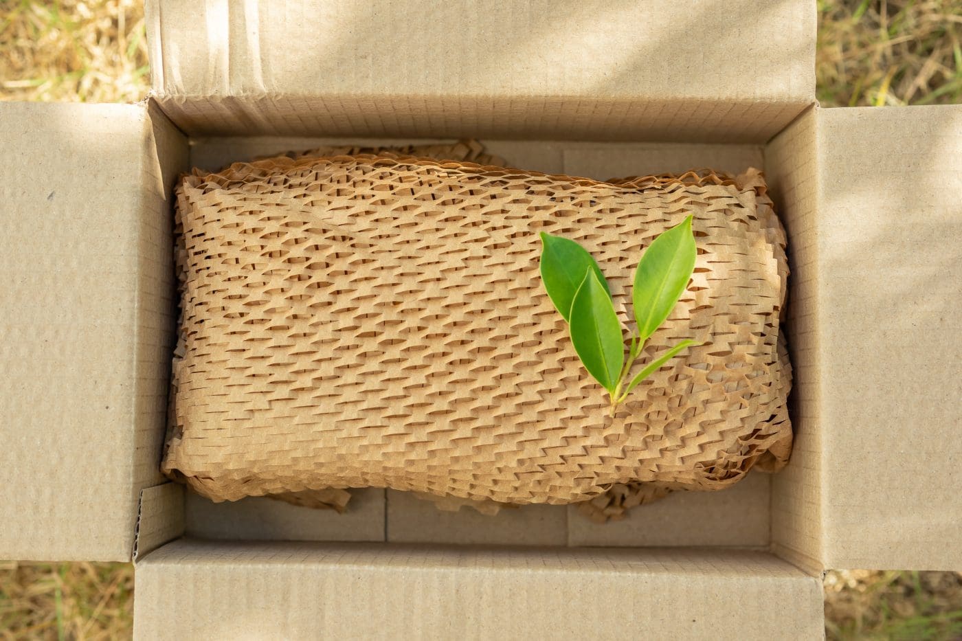 Packaging Compliance in Transition: Expert Insights & Analysis
