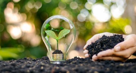 Product & Sustainability Developments in Latin America