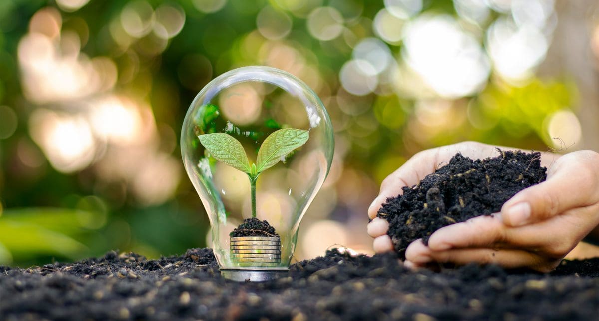 Green Horizons: Product & Sustainability Developments in Latin America