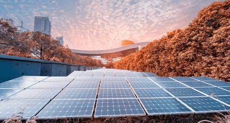 Spotlight On The S in ESG – Upcoming Regulations On Supply Chain Transparency, Due Diligence & Reporting On Social Matters