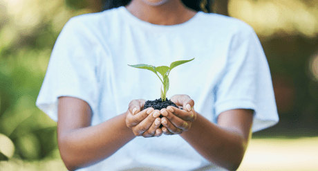Woman holding plant - concept for ESG regulatory developments