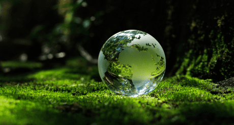Globe on grass - concept for EFRAG unveils final Digital Taxonomy