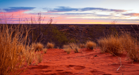 Outback desert landscape - concept for Australia's Climate Disclosure Bill