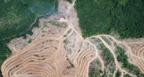 EUDR Balancing Act - EU COM Proposes Targeted Reliefs for Smaller Companies Instead of 12 Months Delay