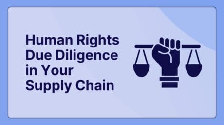 Beyond the Audit A Practical Guide to Human Rights Due Diligence in Your Supply Chain