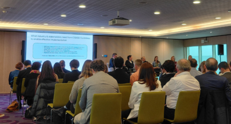 Implementing the CSDDD Early Lessons Learned and Expectations for the New Guidelines